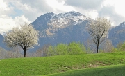 17 Il Venturosa...